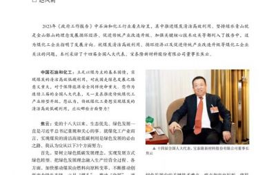 打破傳統(tǒng)走綠色轉(zhuǎn)型之路——訪十四屆全國人大代表、寶泰隆新材料股份有限公司董事長焦云